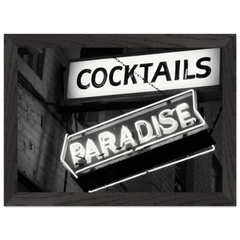 9ba00bd2-c502-4011-9de0-cc51f37fbfc4